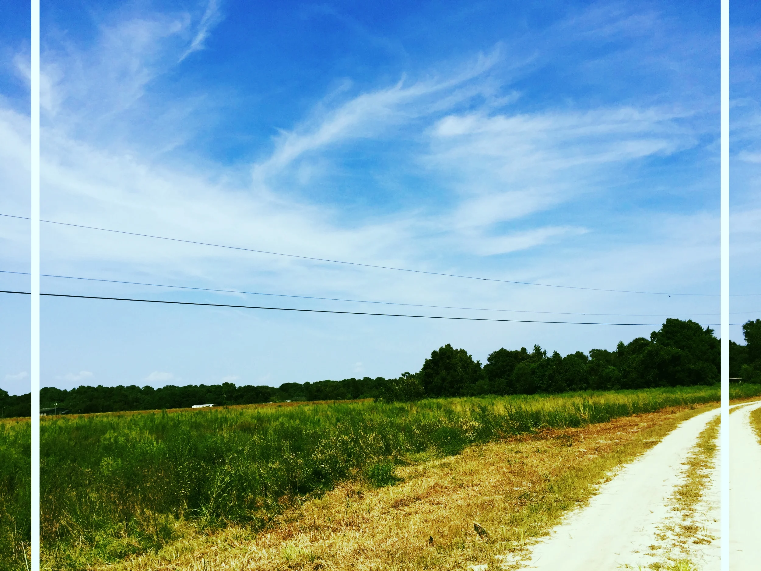 Bonneau Road, Johns Island.JPG