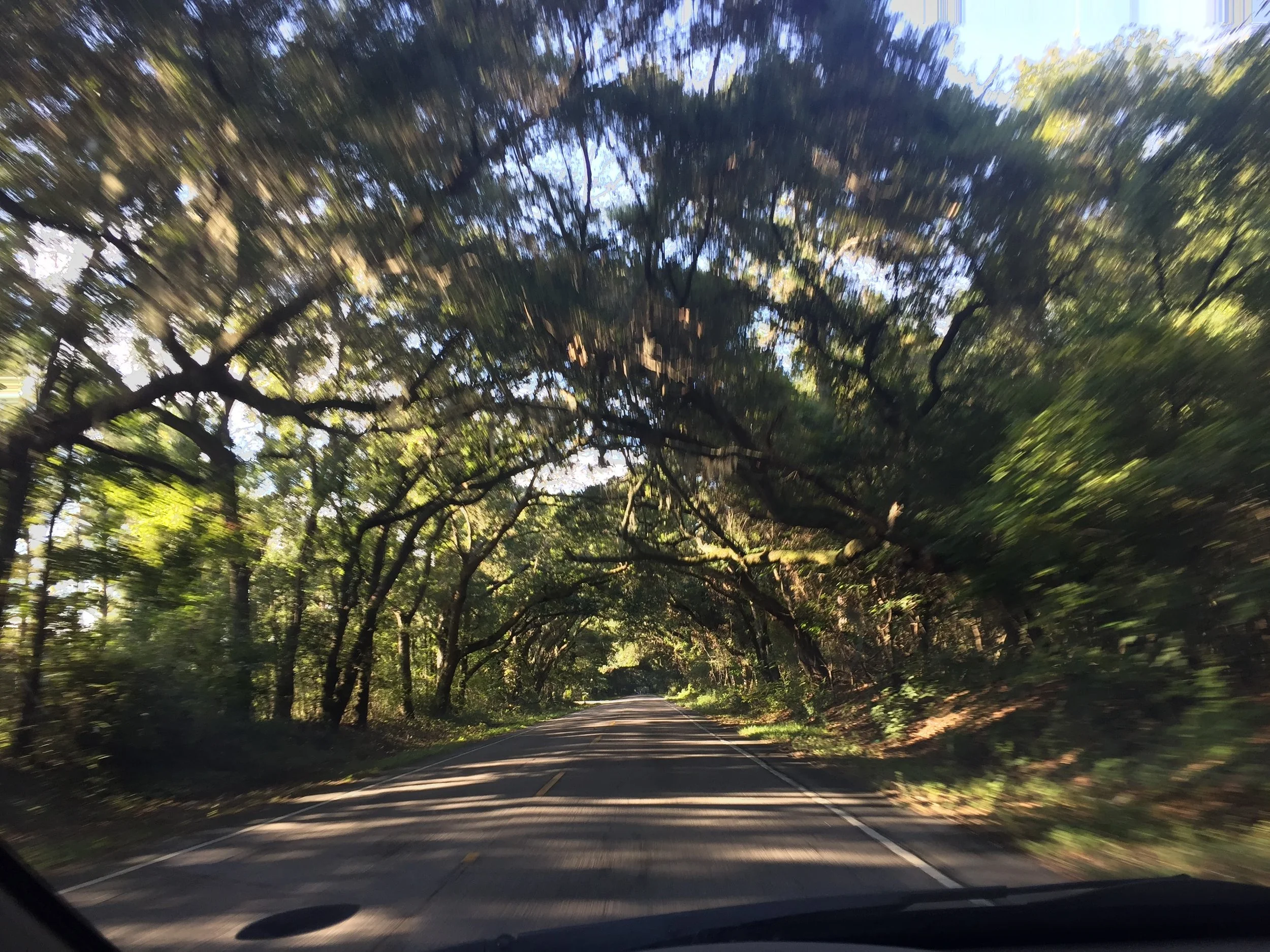 BGL Johns Island (River Road).JPG