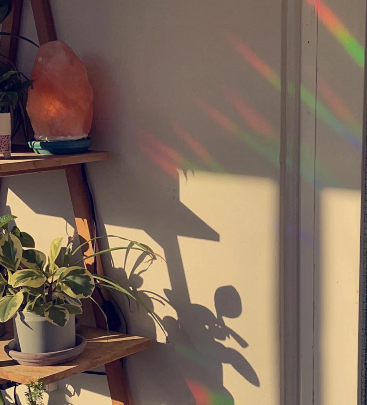 CF5595AD-C3EA-48B6-A244-B3D06A8047A4