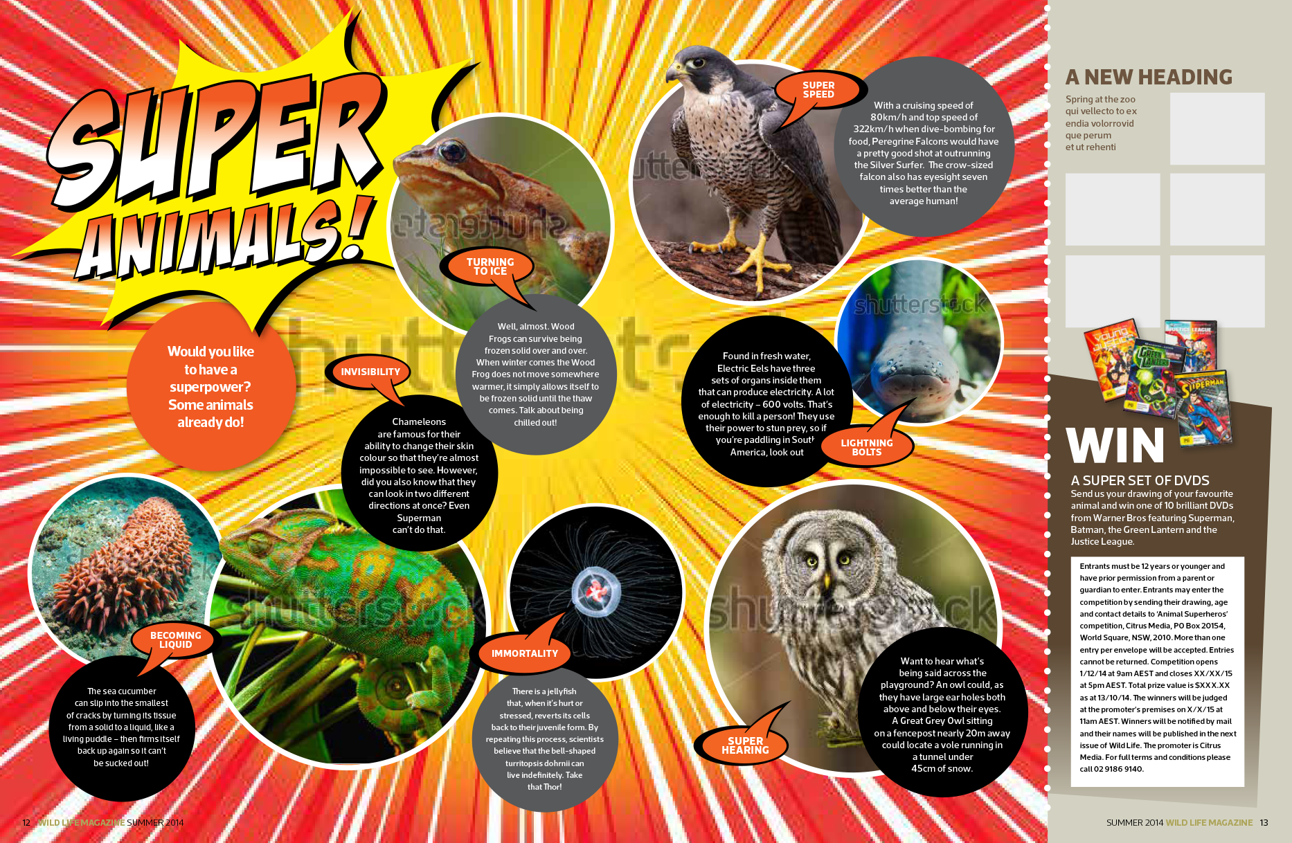 WEB-taronga4.png