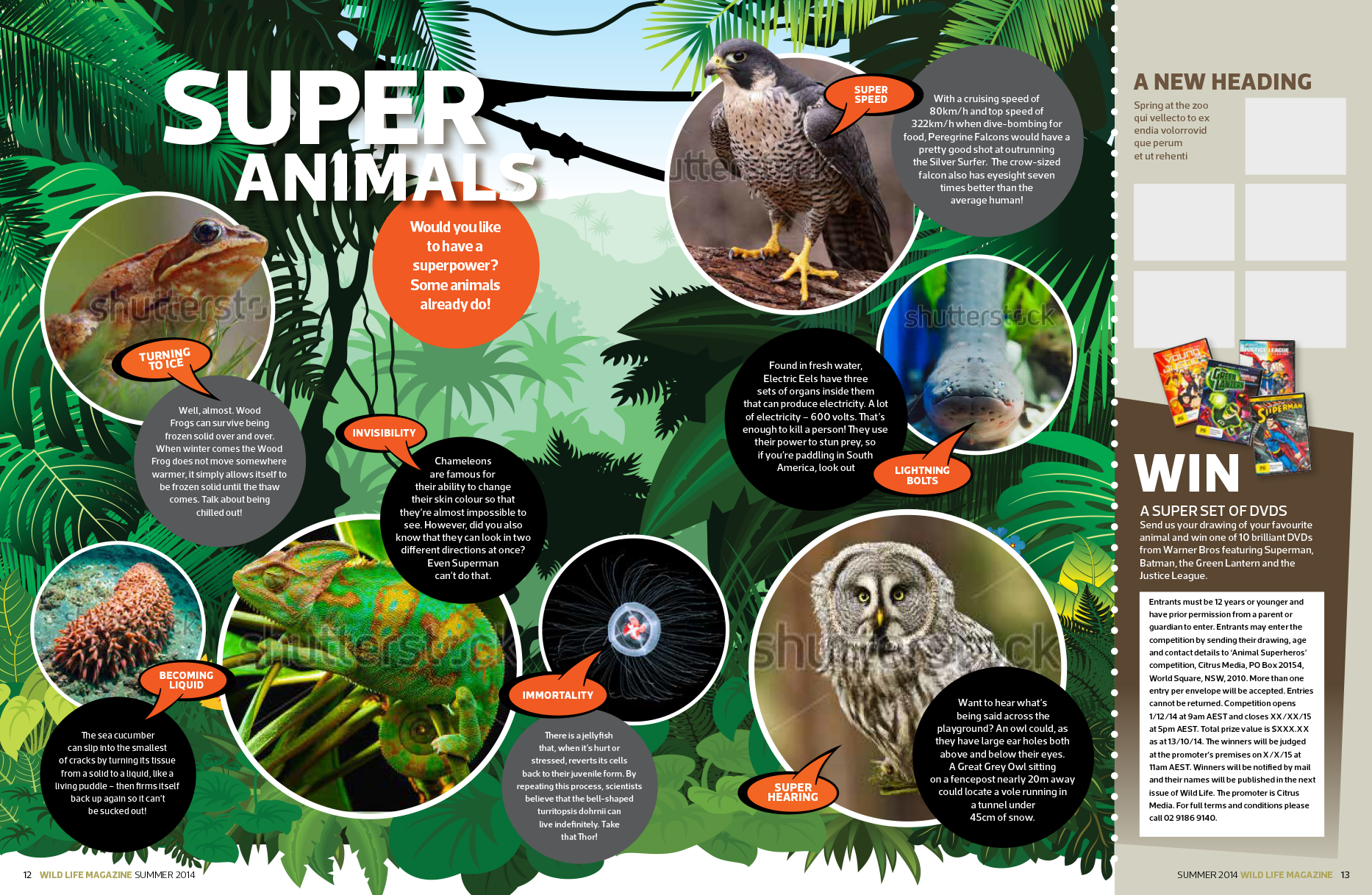 WEB-taronga3.png