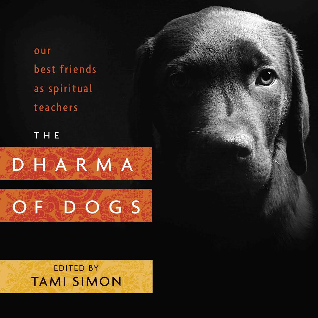 The Dharma of Dogs.jpeg