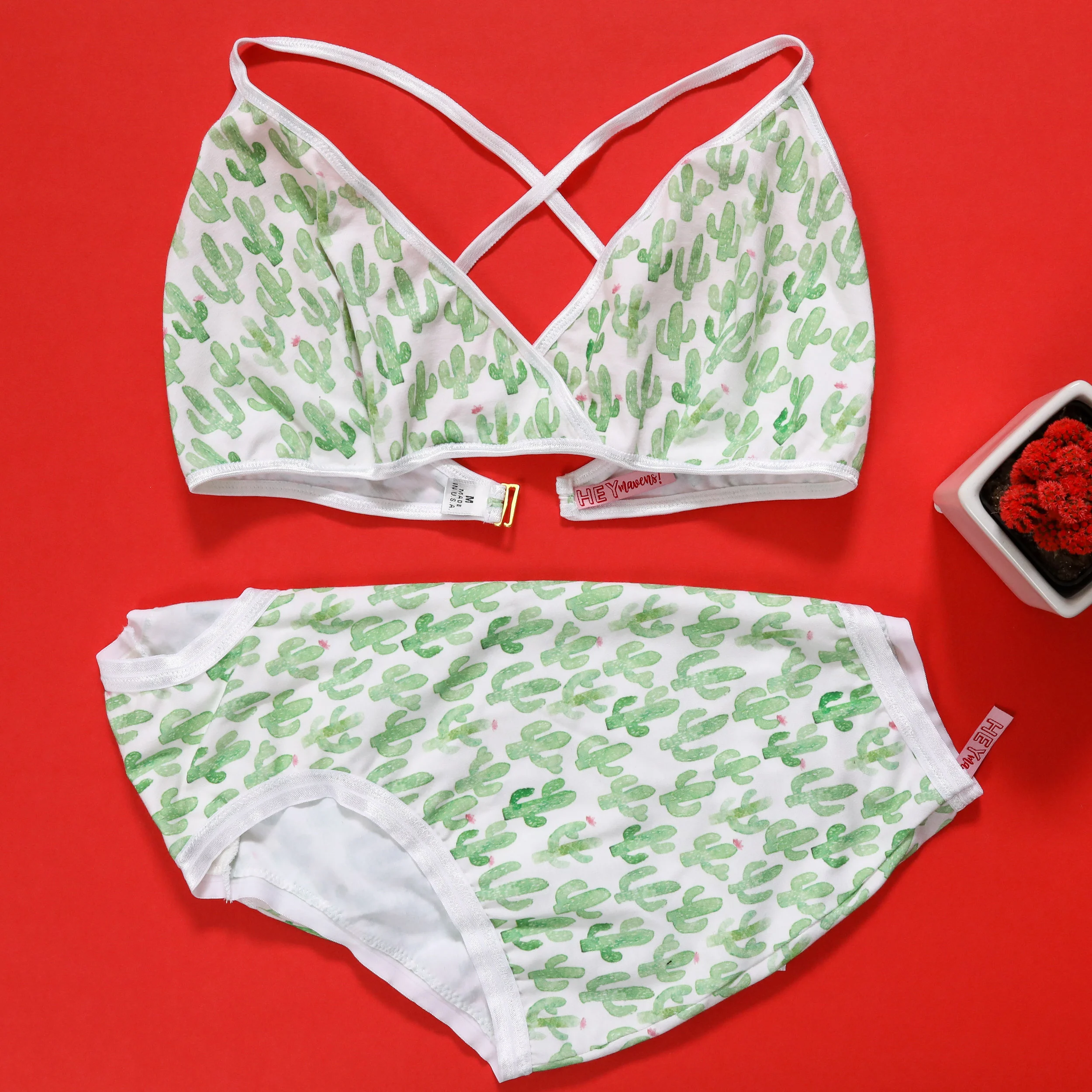 cactus set 3.jpg