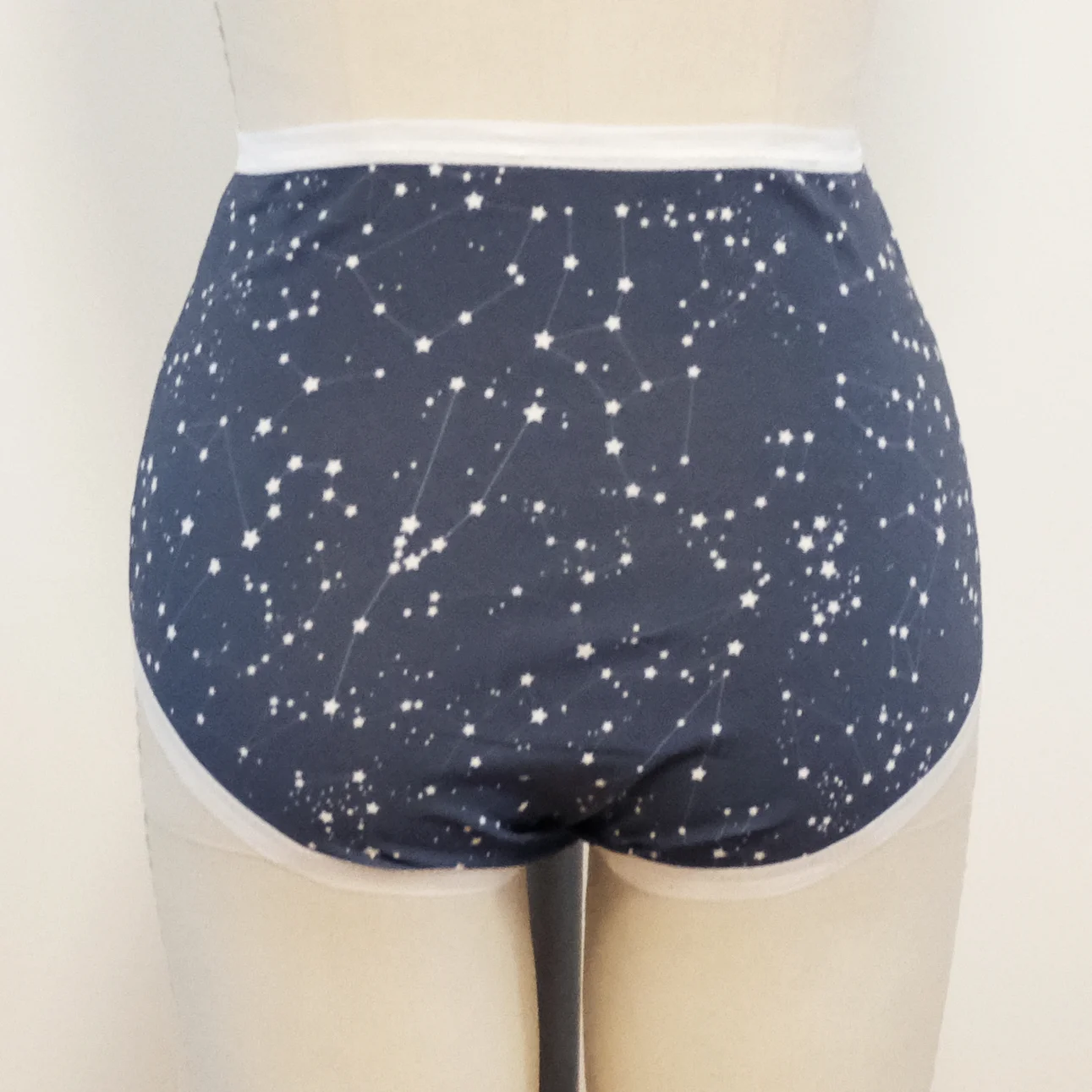 star crossed undies form back.jpg