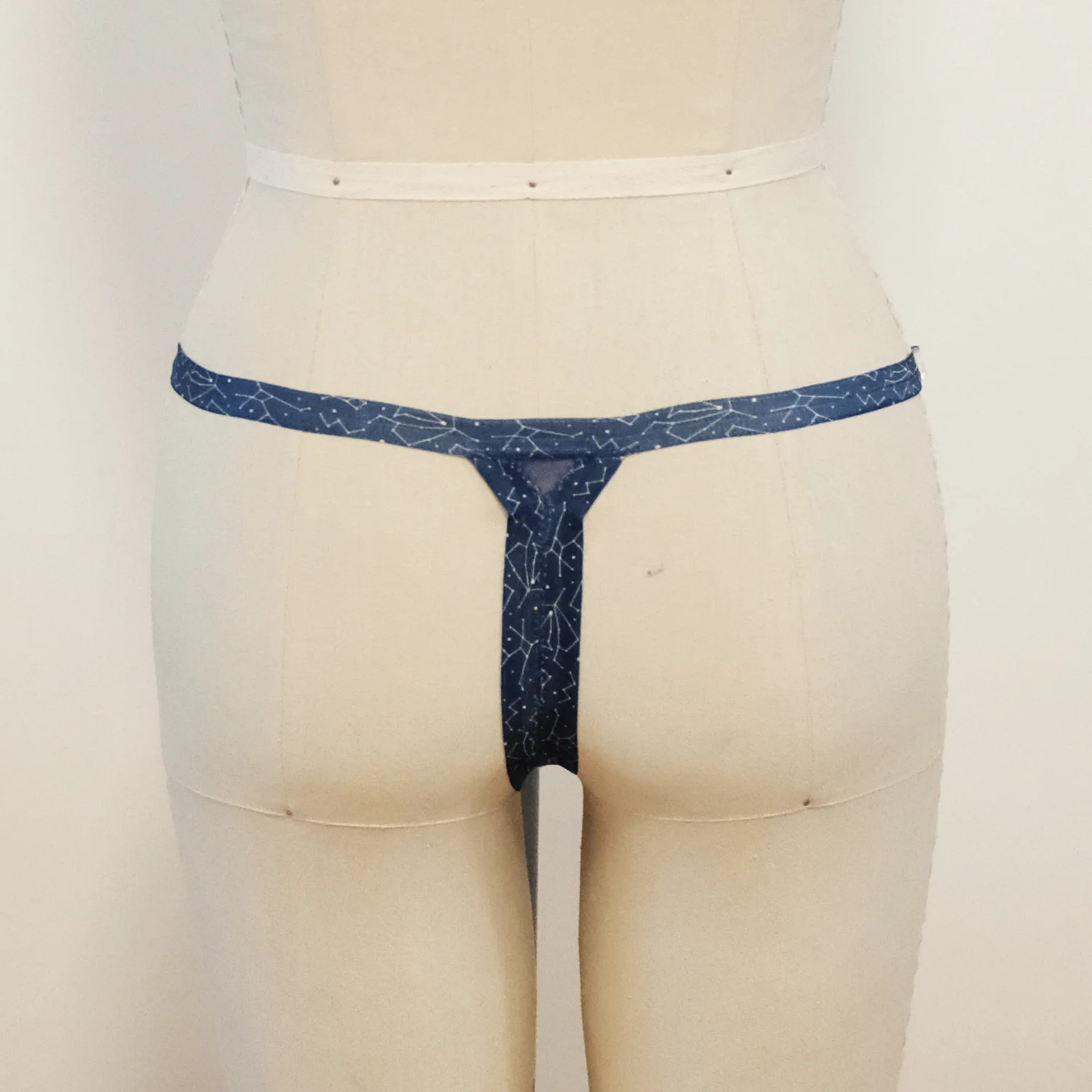 written in the stars thong form back.jpg