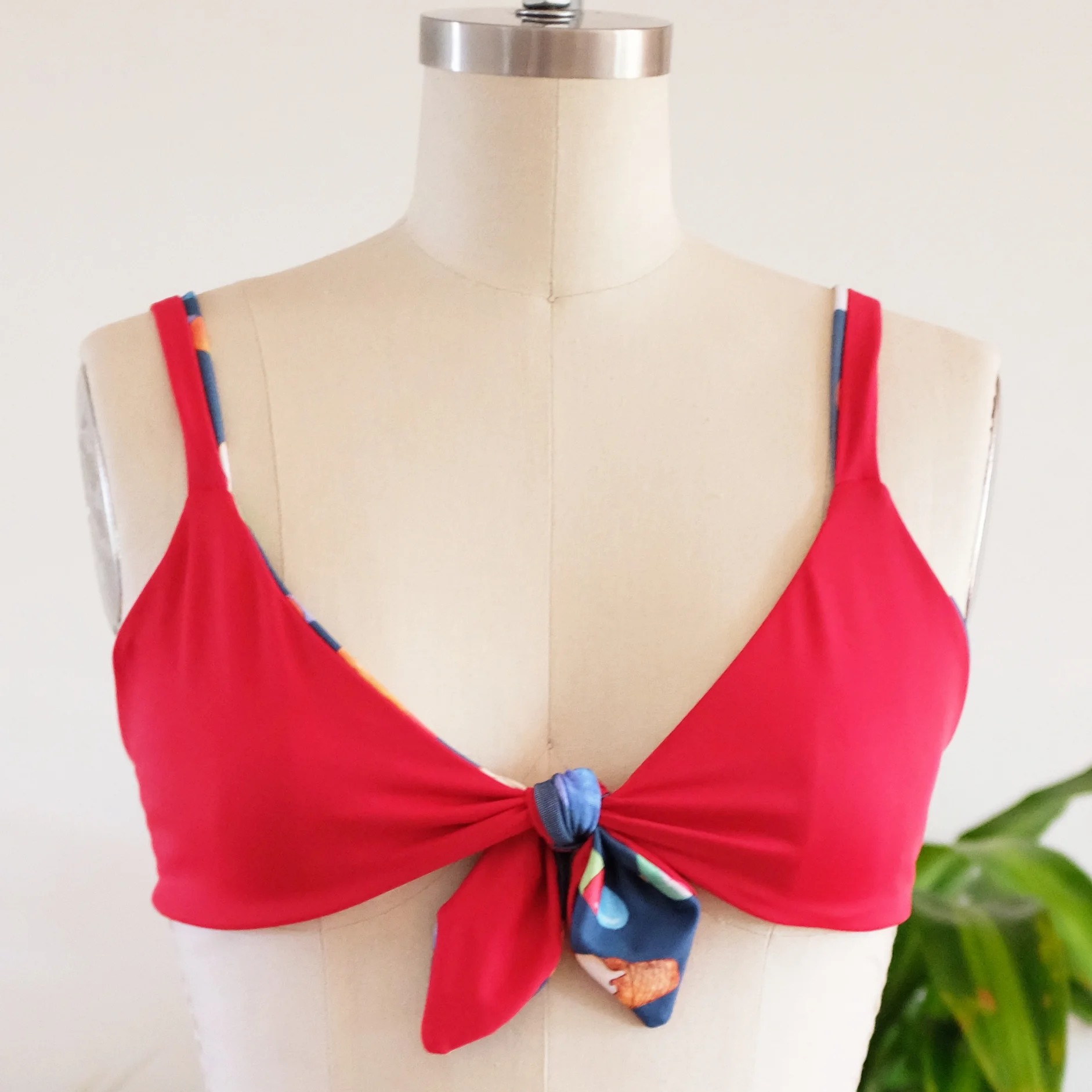 ice cream form front red top.jpg