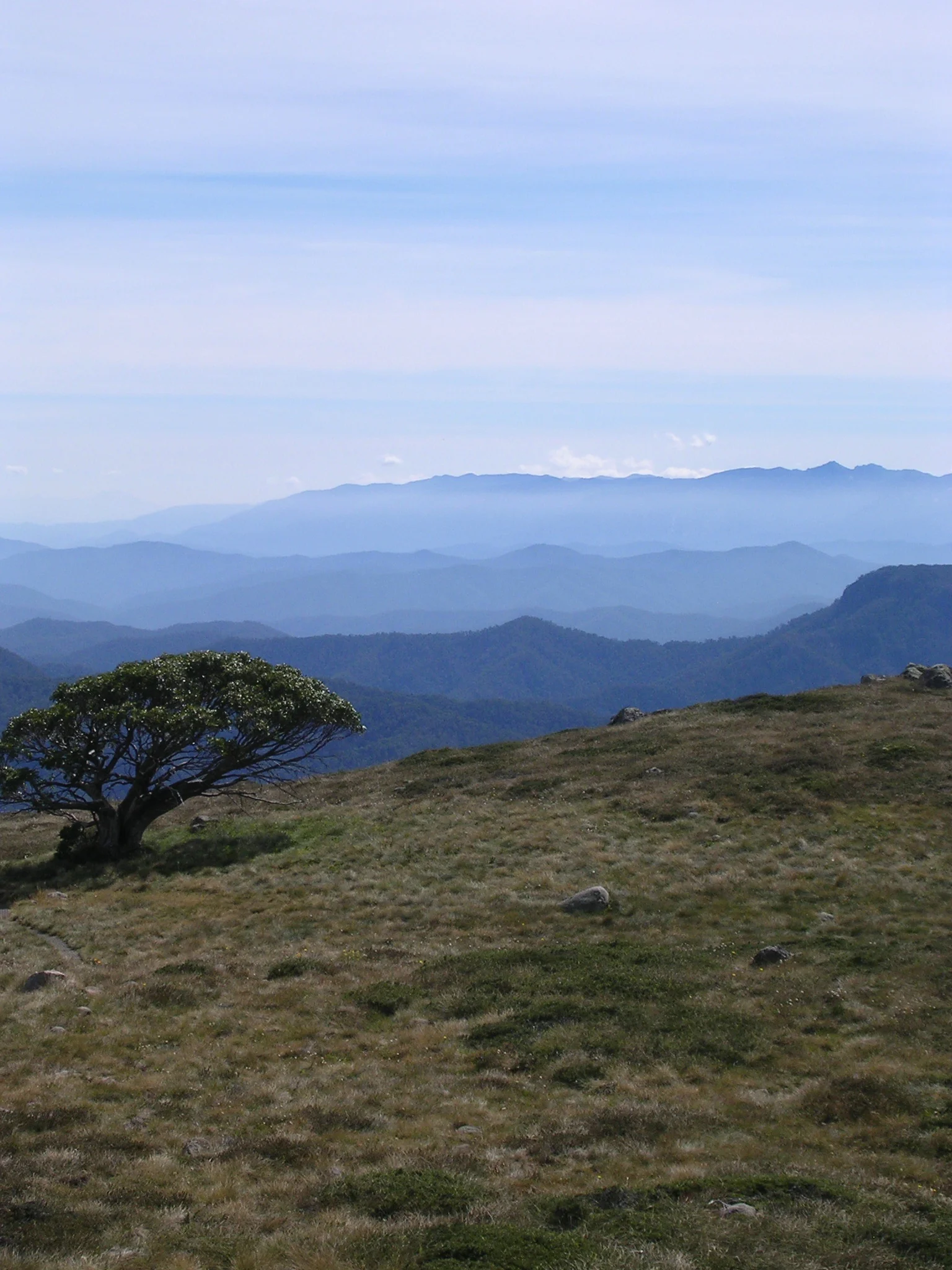 DSCN1721.JPG