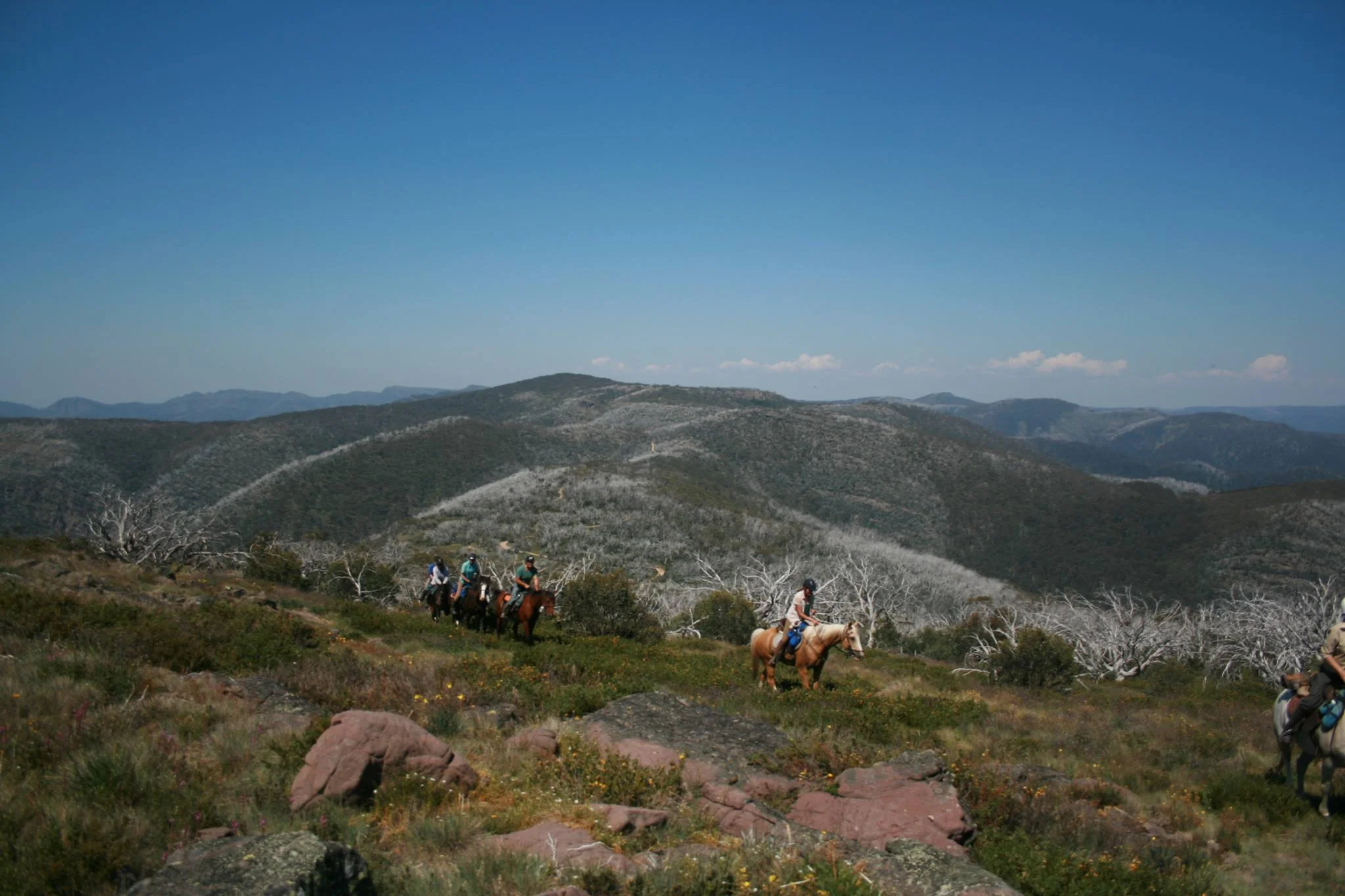 Across the top.jpg