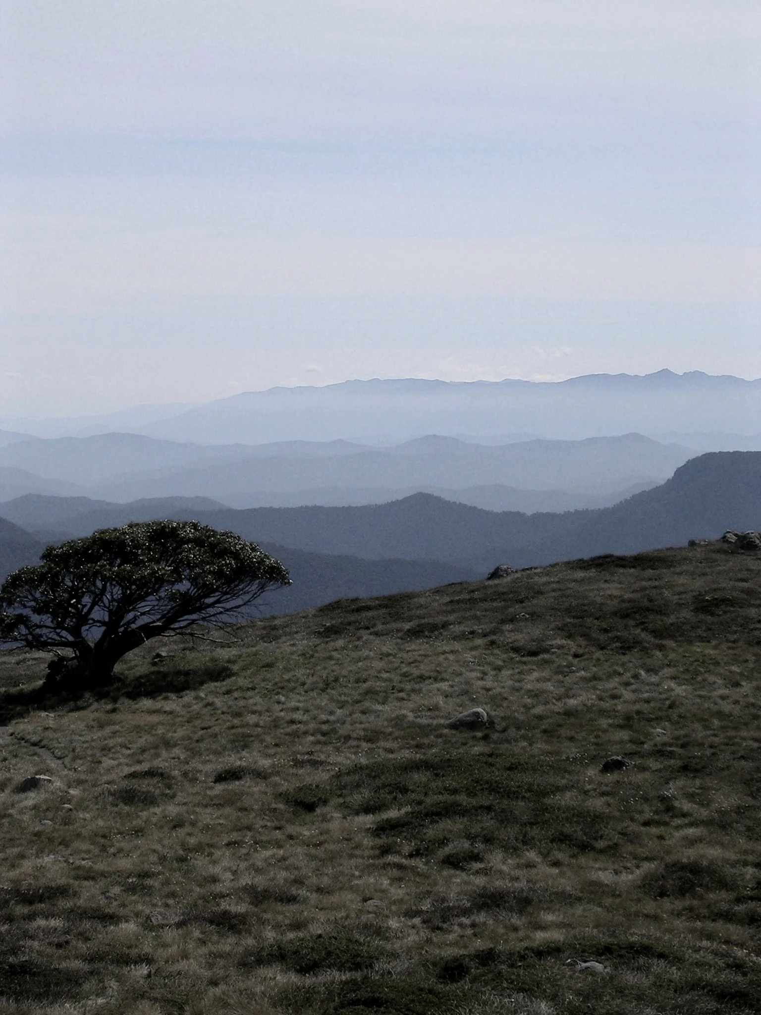 DSCN1721.jpg