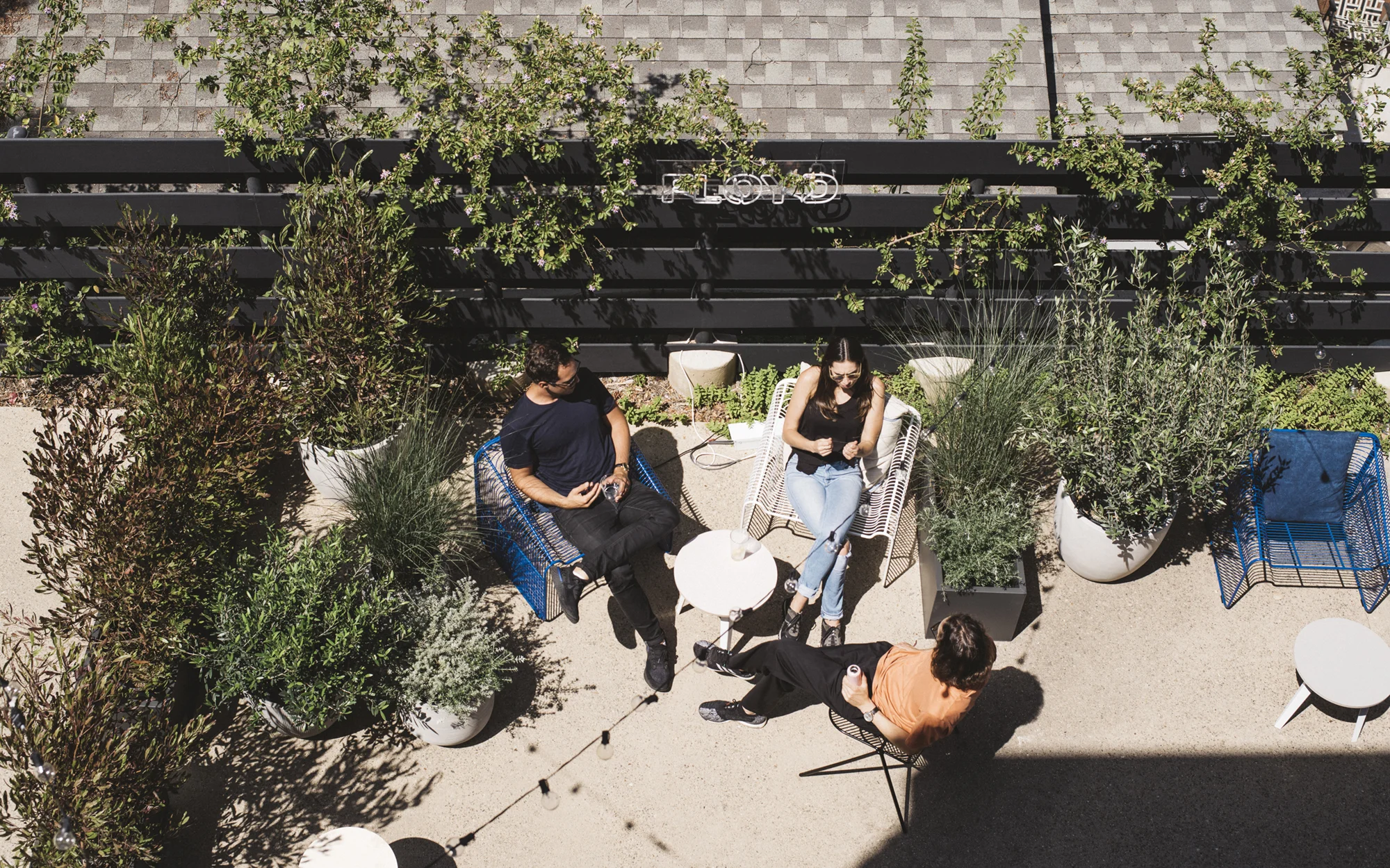 StephanieTam_Floyd-Housewarming_Backyard.jpg