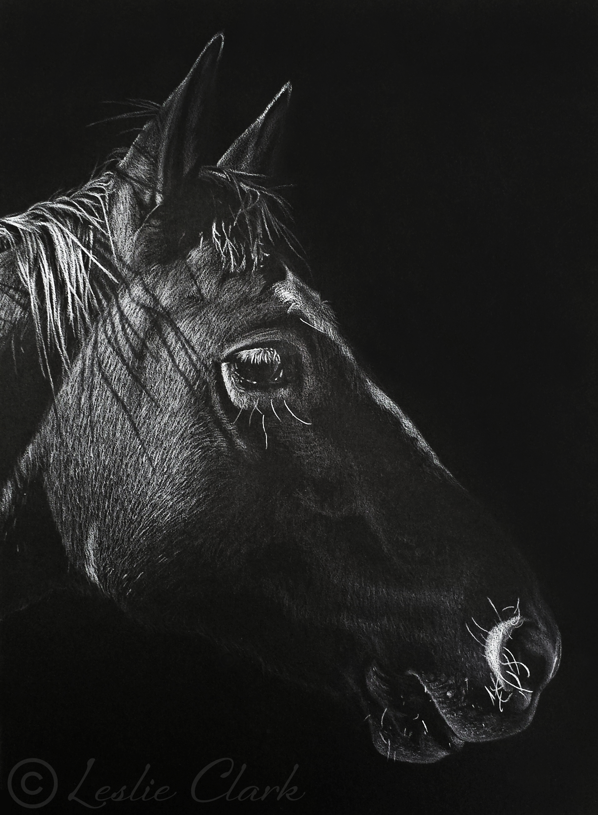 "Fields of Shadow" - Colored pencil