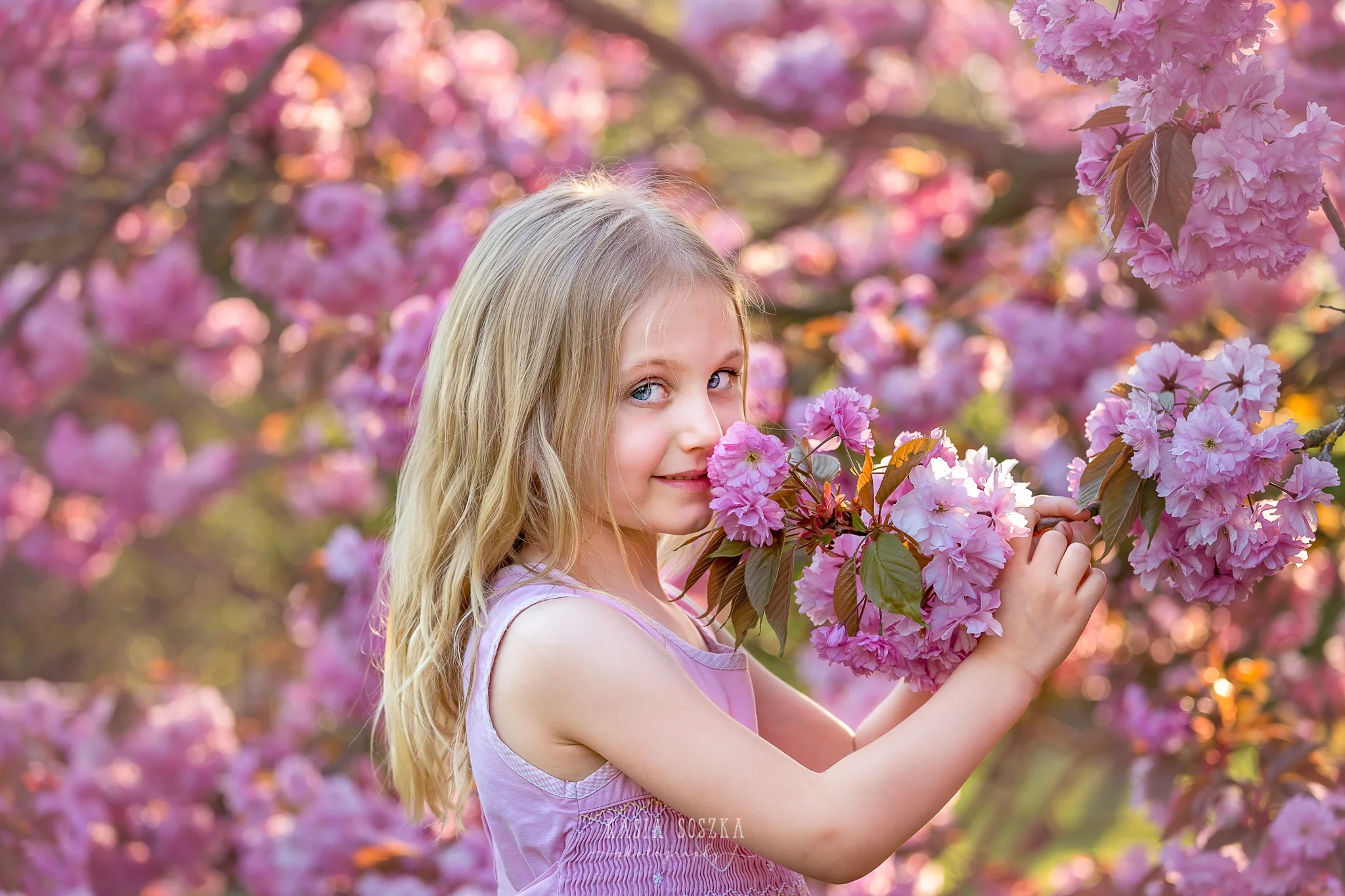 Leeds child photography Bradford child session York children photography: pretty little blond girl in a pink dress smelling cherry blossoms