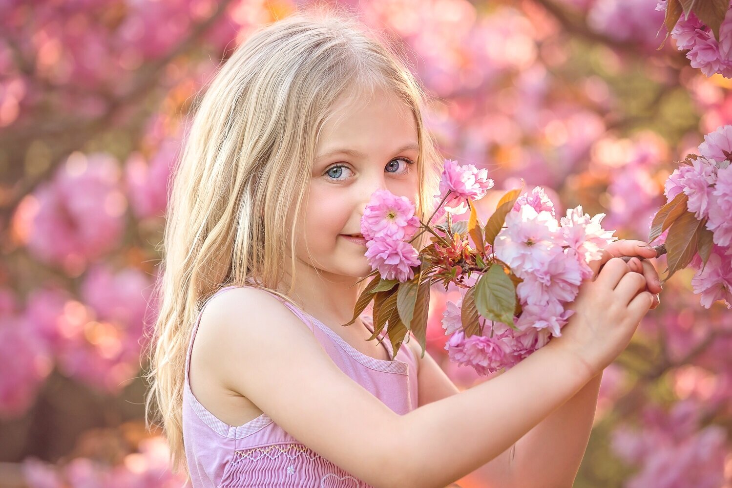 Leeds, Bradford, Harrogate, Wakefield Cherry Blossom Mini Sessions 2021