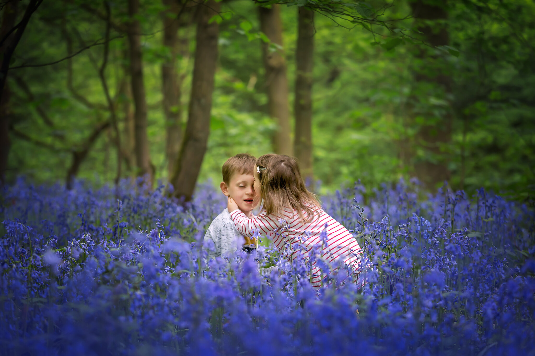 Leeds, Bradford, Harrogate, Wakefield Bluebell Mini Sessions 2021