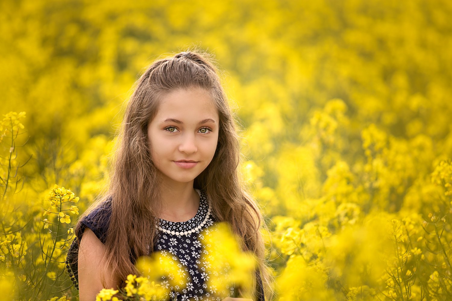 Rapeseed field child photoshoot Leeds, Harrogate, Bradford, Wakefield