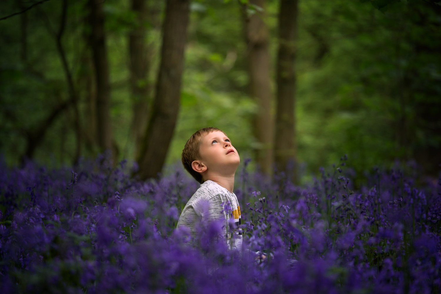 Bluebell child photoshoot Leeds, Harrogate, Bradford, York, Wakefield