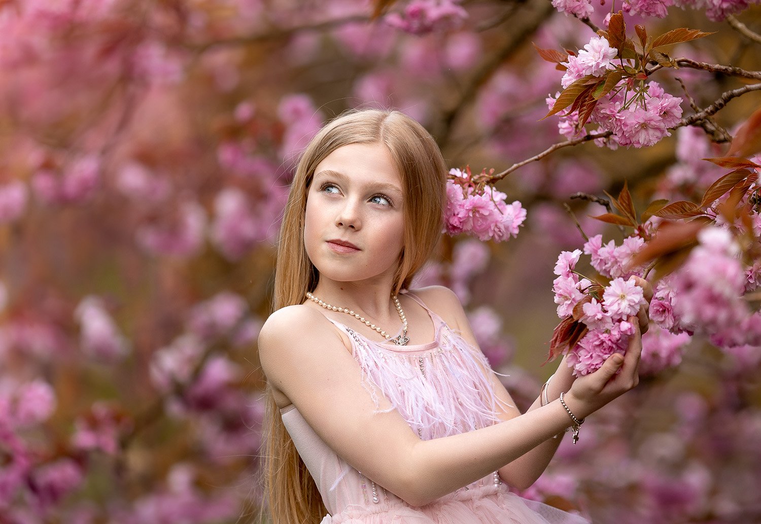 Cherry Blossom Mini Sessions 2026 Leeds Yorkshire