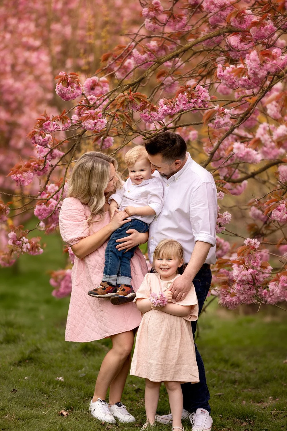 Cherry Blossom Mini Sessions 2026 Leeds Yorkshire