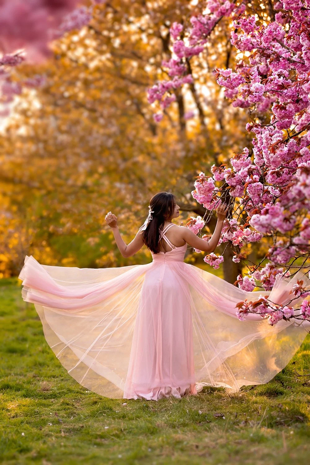 Cherry Blossom Mini Sessions 2026 Leeds Yorkshire