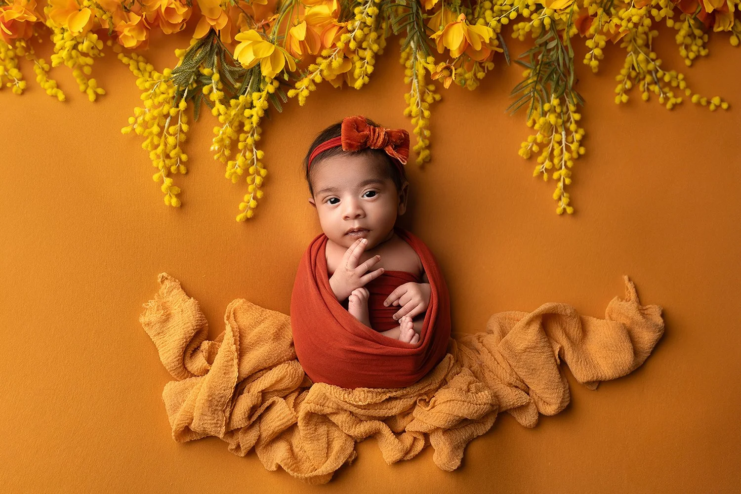 Newborn photography Leeds: baby girl wrapped in a rust orange layer, wearing an orange bow, starting at the camera while posed on an mustard yellow blanket during her newborn session in Leeds