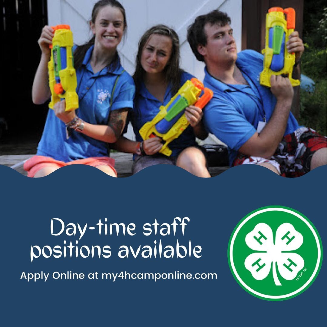 We have a few more day-time staff positions! 
Apply online www.my4hcamponline.com