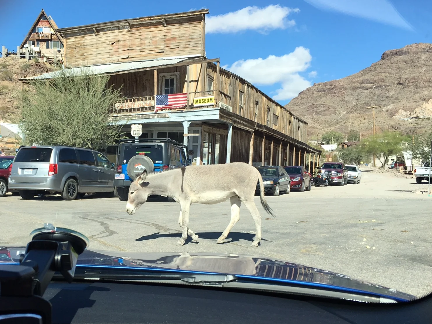 The Burrows of Oatman