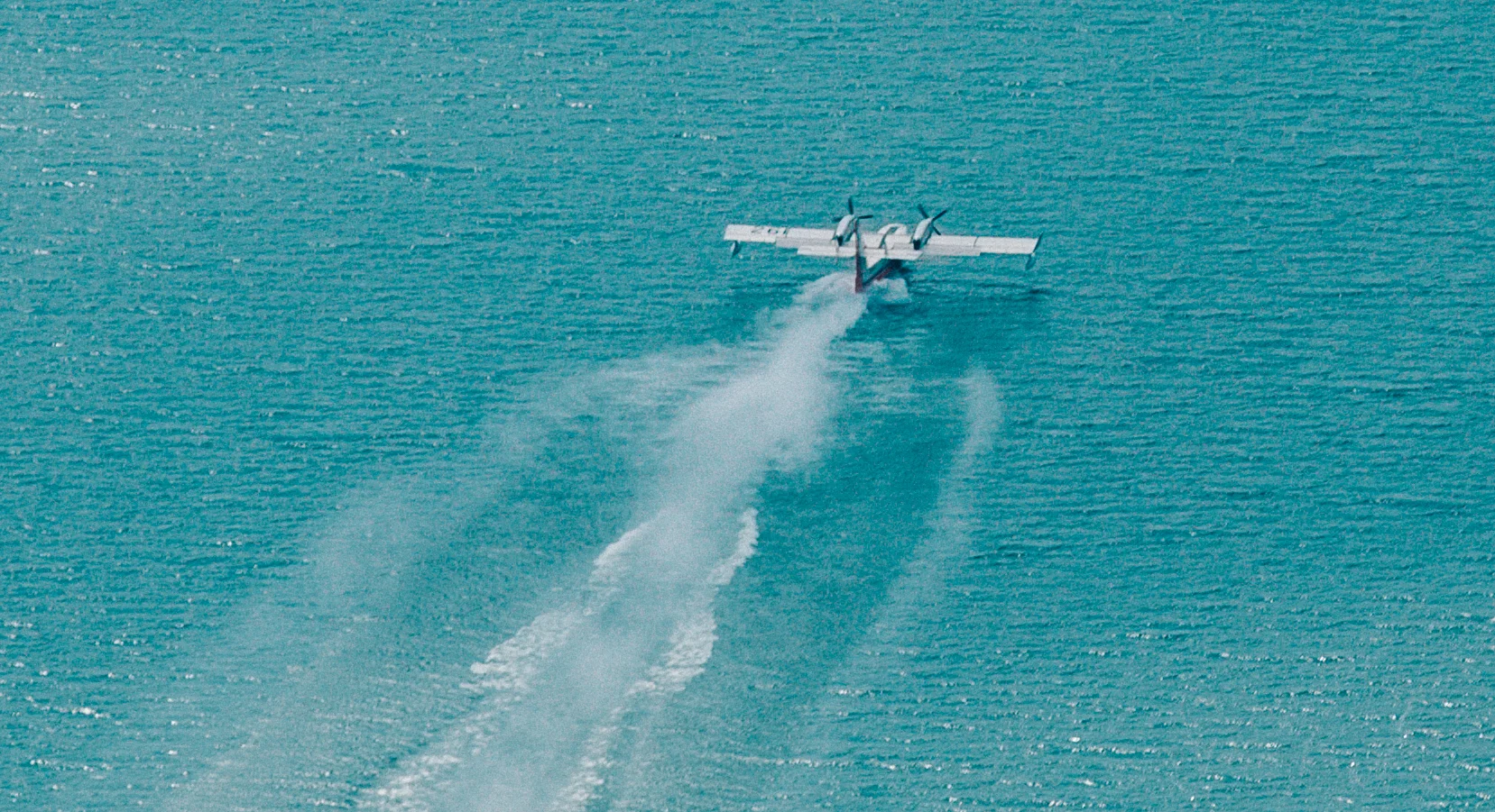 cropped (1 of 1).jpg