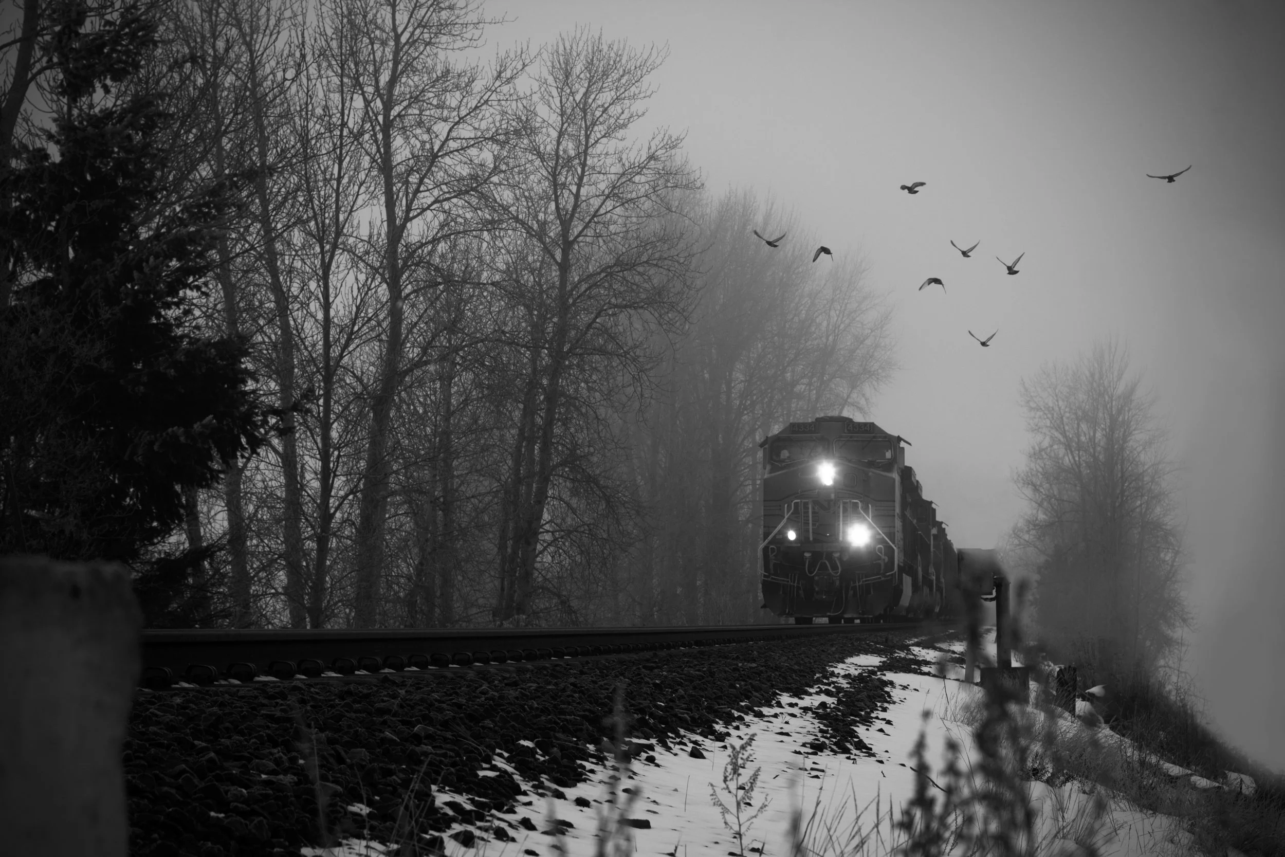 Disappearing_Bridge_4566.jpg