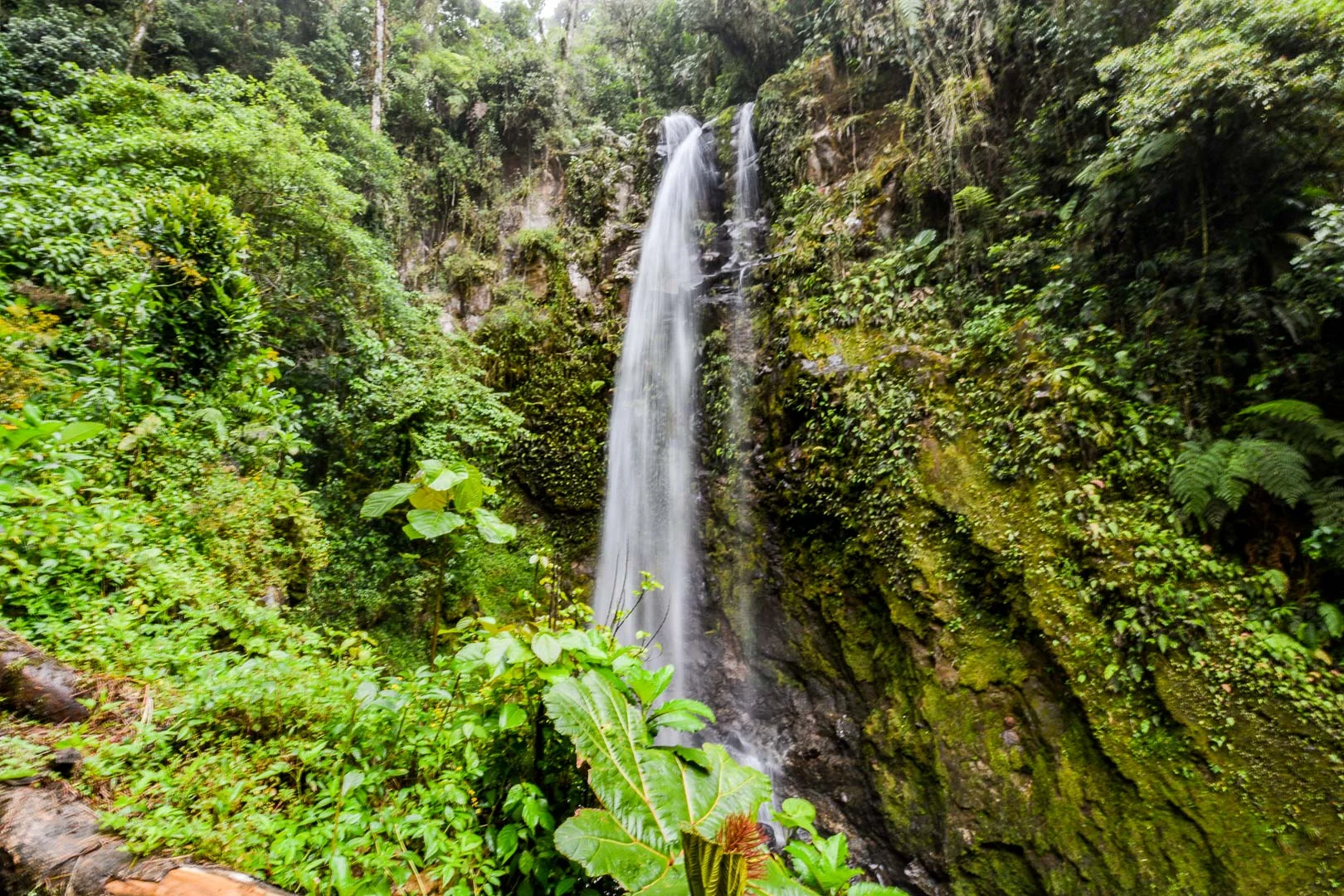 Waterfall #1, which is the last waterfall you see on the hike