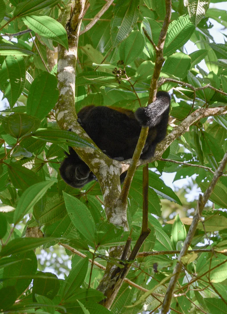 DSC_0536.jpg