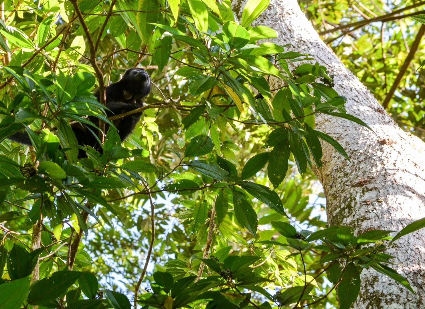 DSC_0547.jpg