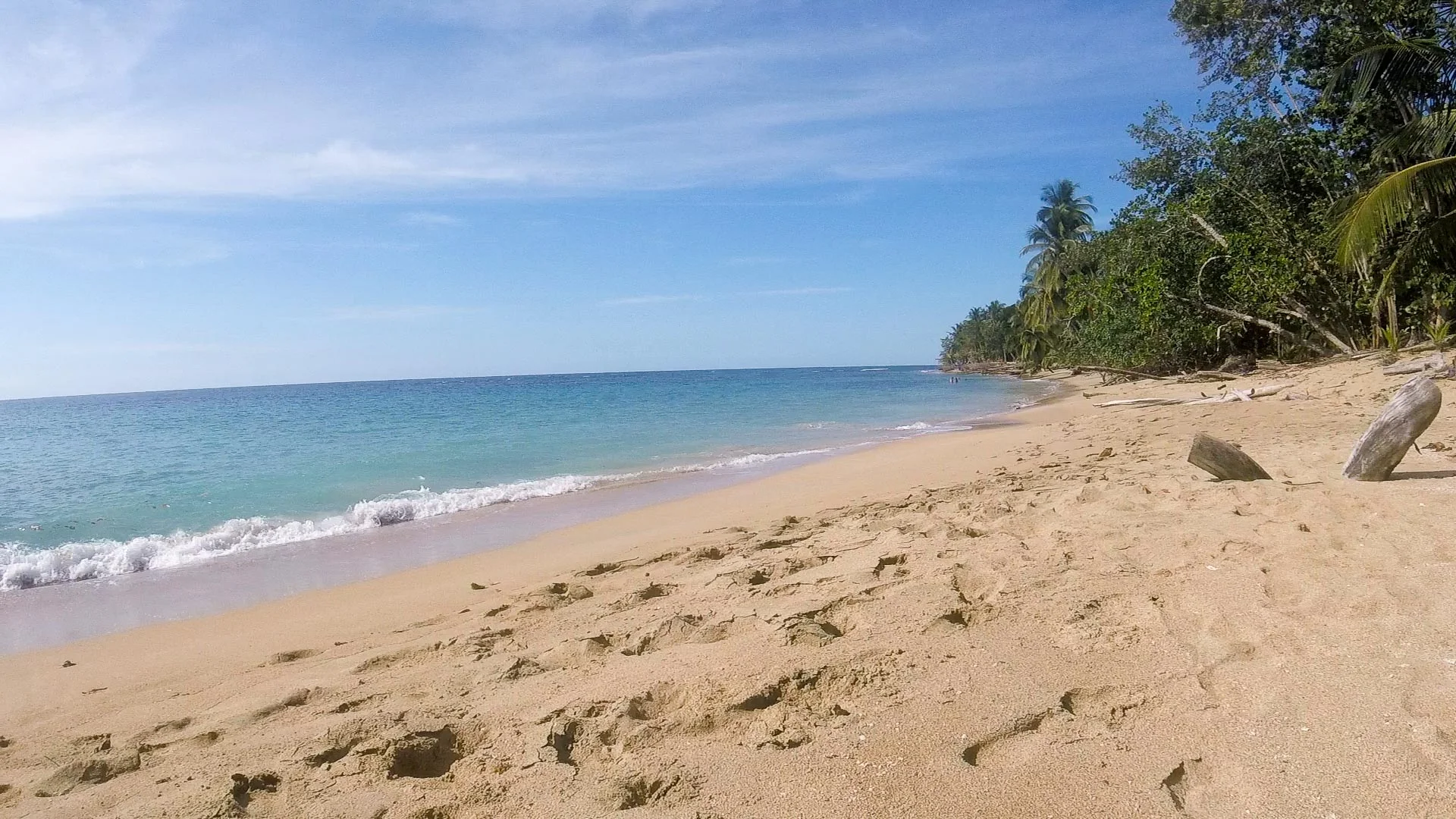 Playa Punta Uva