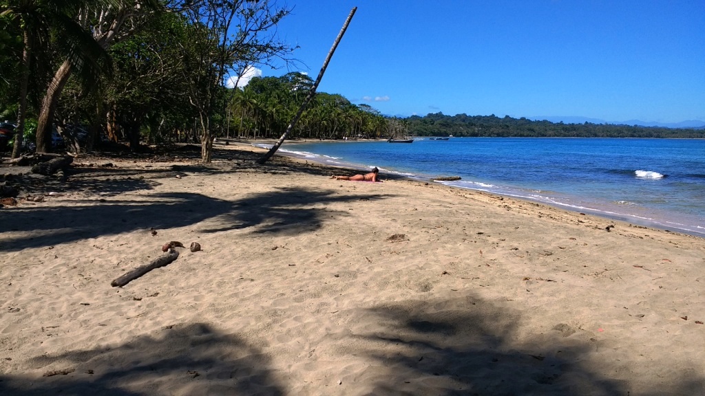 This photo is borrowed from http://grandpacking.co.nz/destinations/puerto-viejo-costa-rica-information