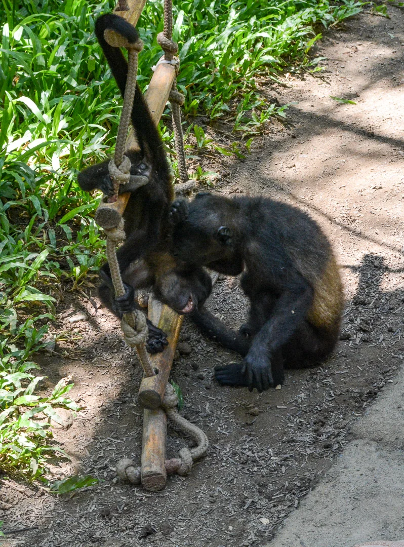 DSC_0695.jpg
