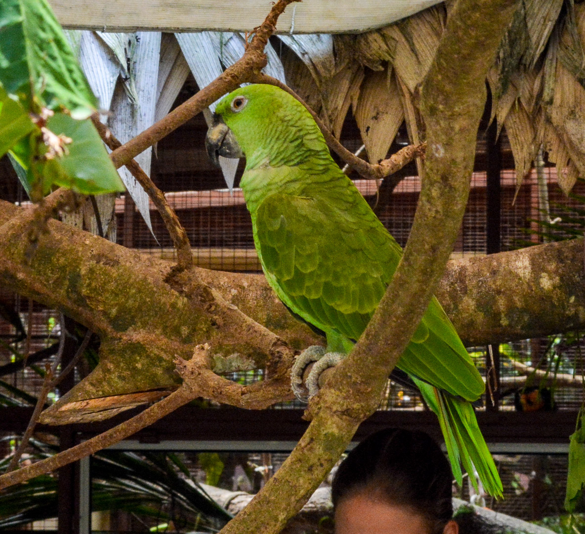 DSC_0795.jpg