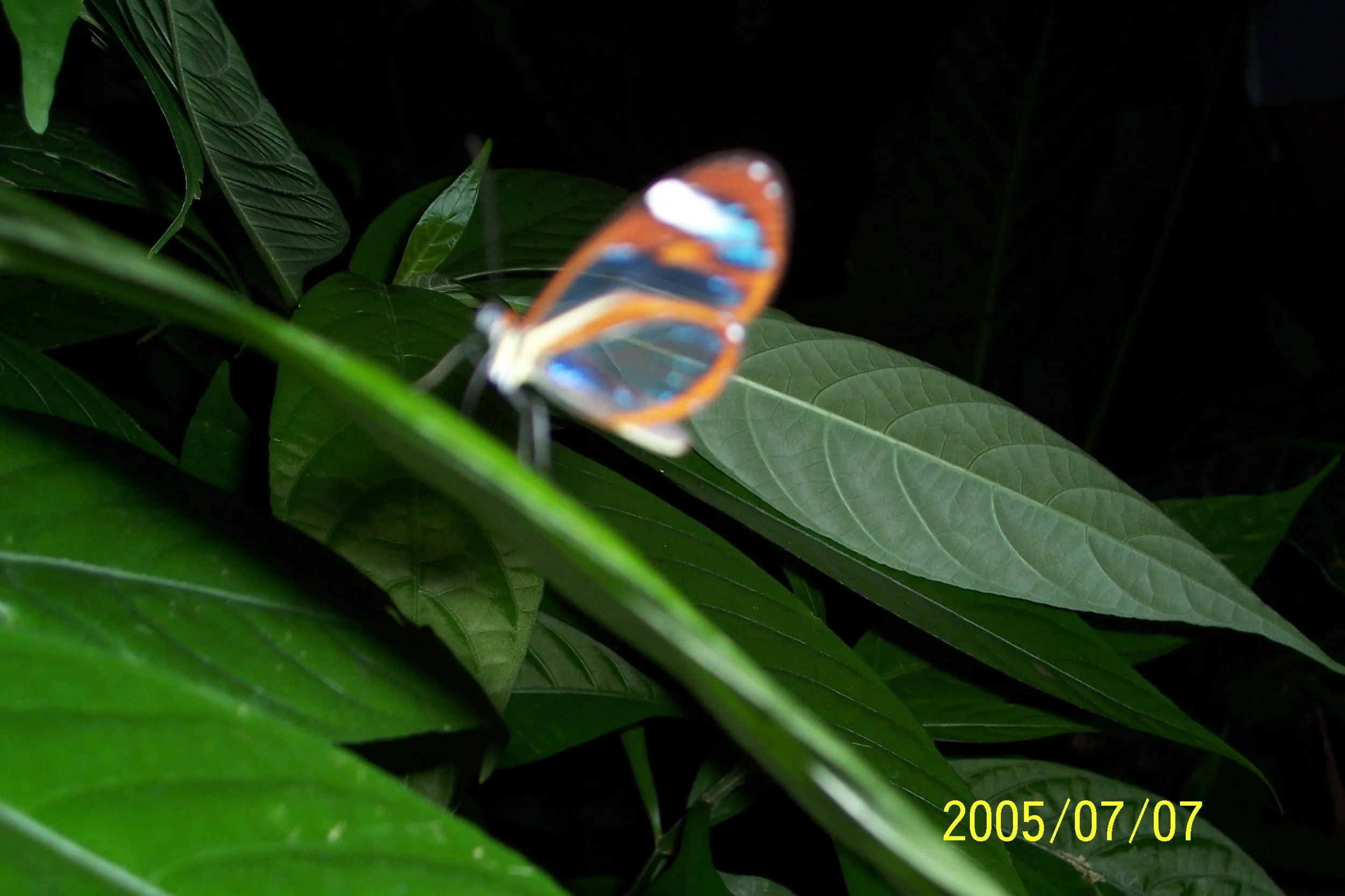Bryan's skills with a camera at age 18
