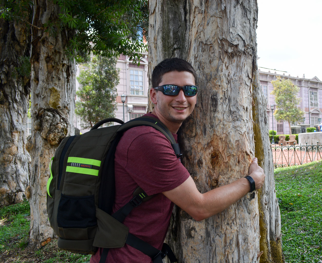 The very huggable cork tree
