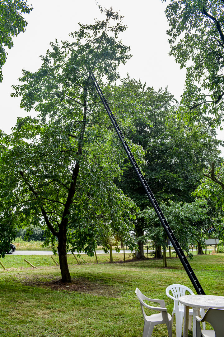 DSC_0209.jpg