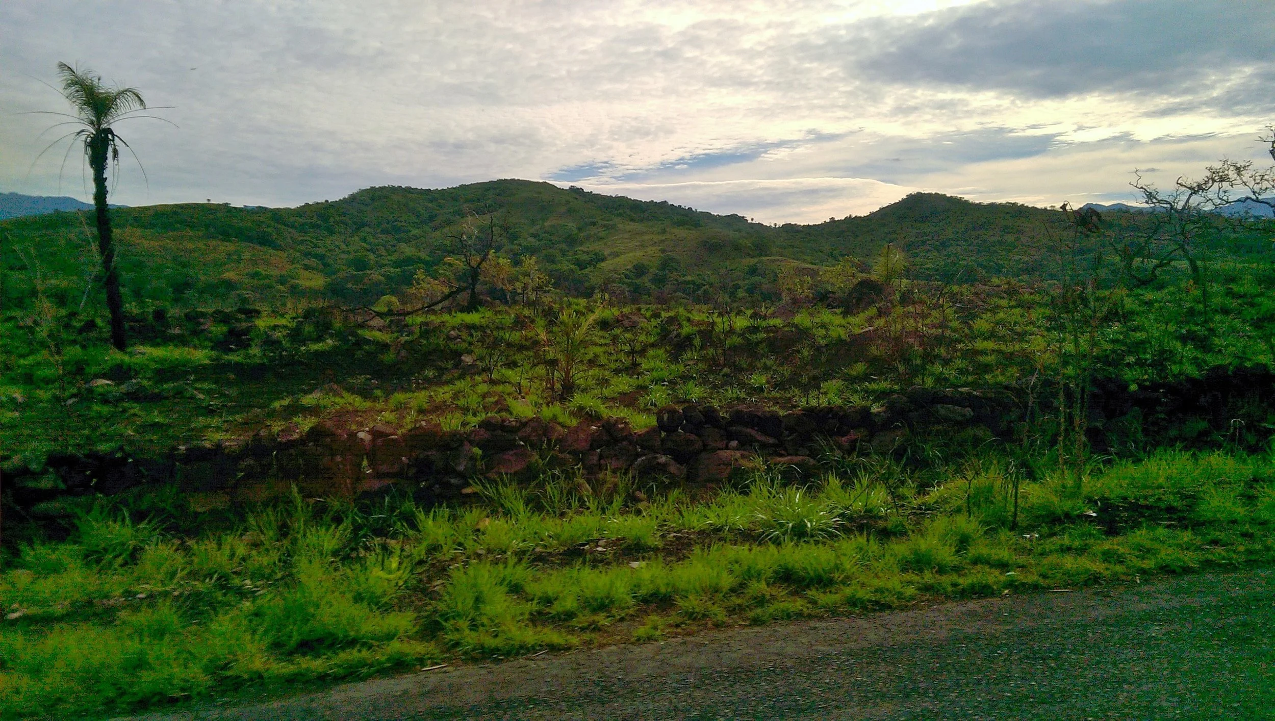 The drive to Boquete left us in awe of the mountains