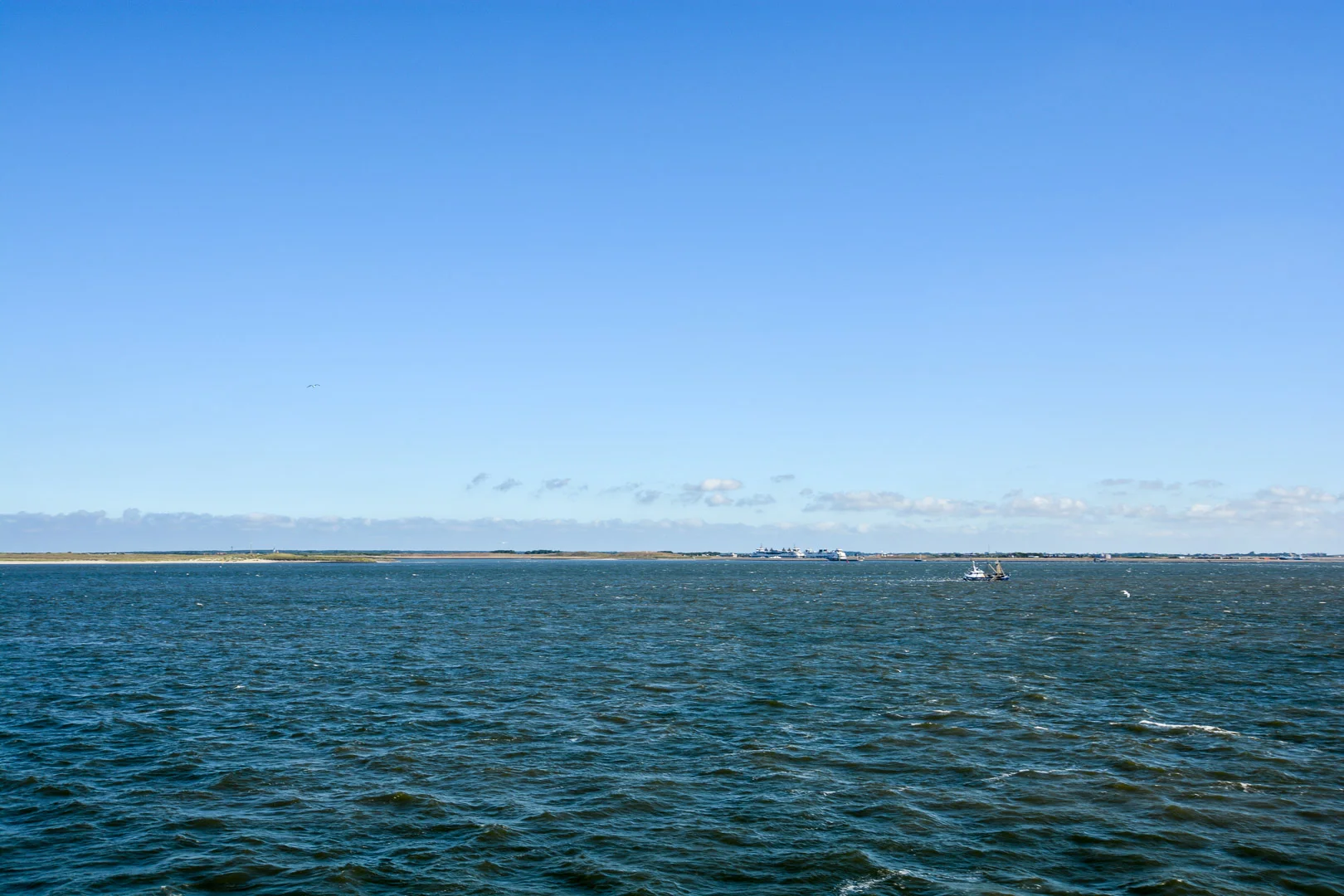 DSC_0478.jpg