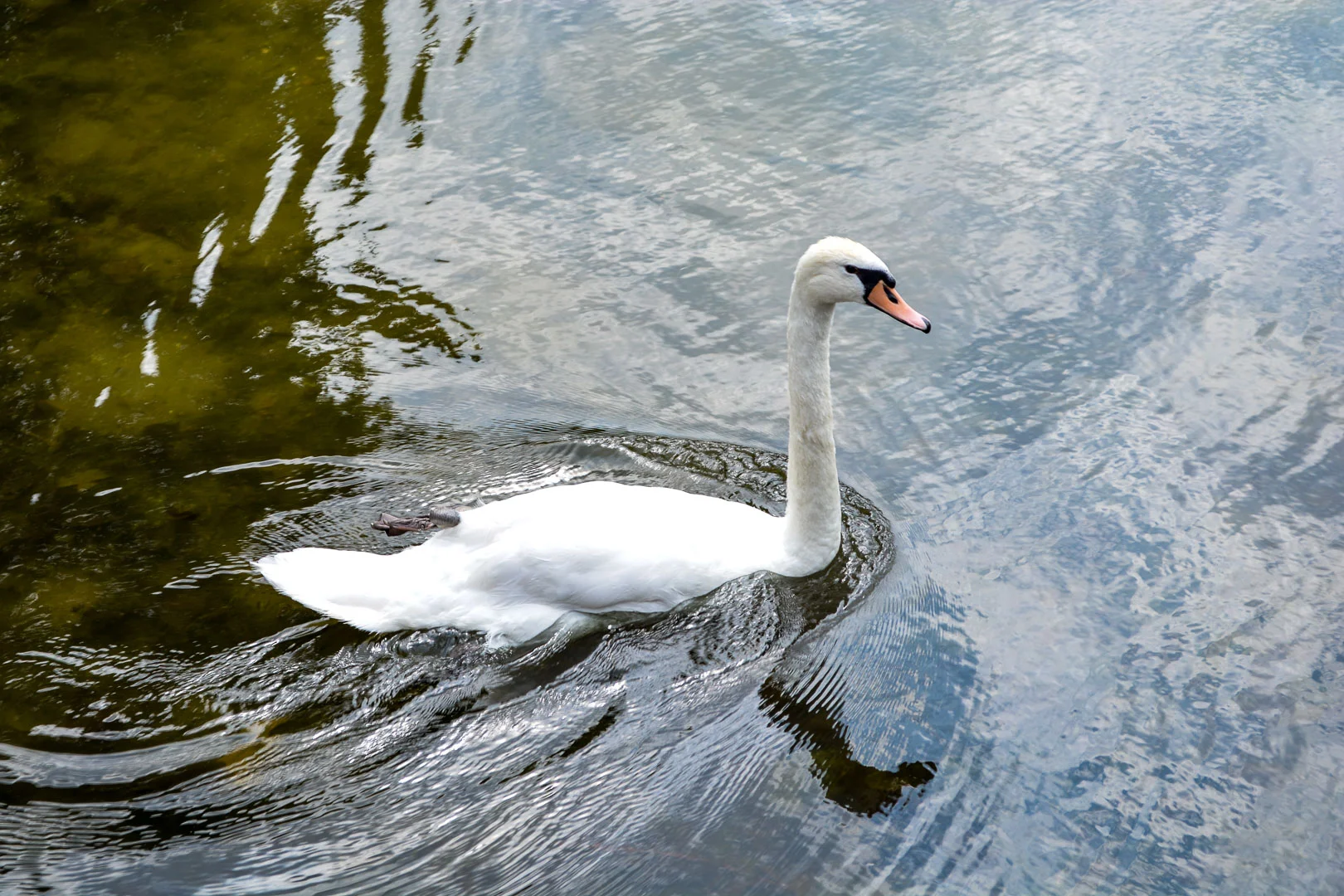 DSC_0621.jpg