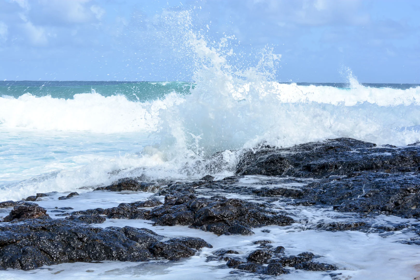DSC_0197.jpg