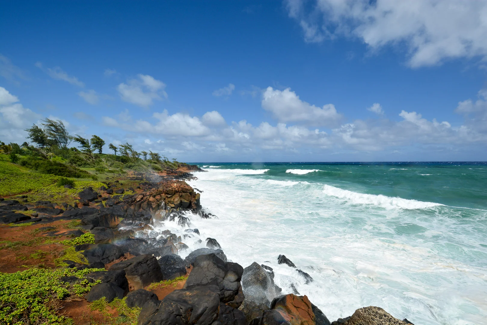 Along the Coconut Coast