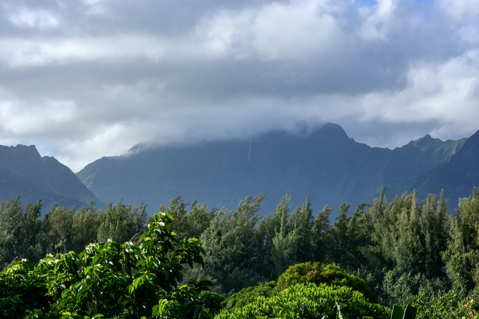 Kawaikini Peak is Kauai’s highest point at 5,148 feet and has been known as the wettest spot on Earth, with over 400 inches of rain per year! We only caught a brief 5 minute glimpse of the peak…it was covered with clouds and rainfall the entire rest of our time on the island
