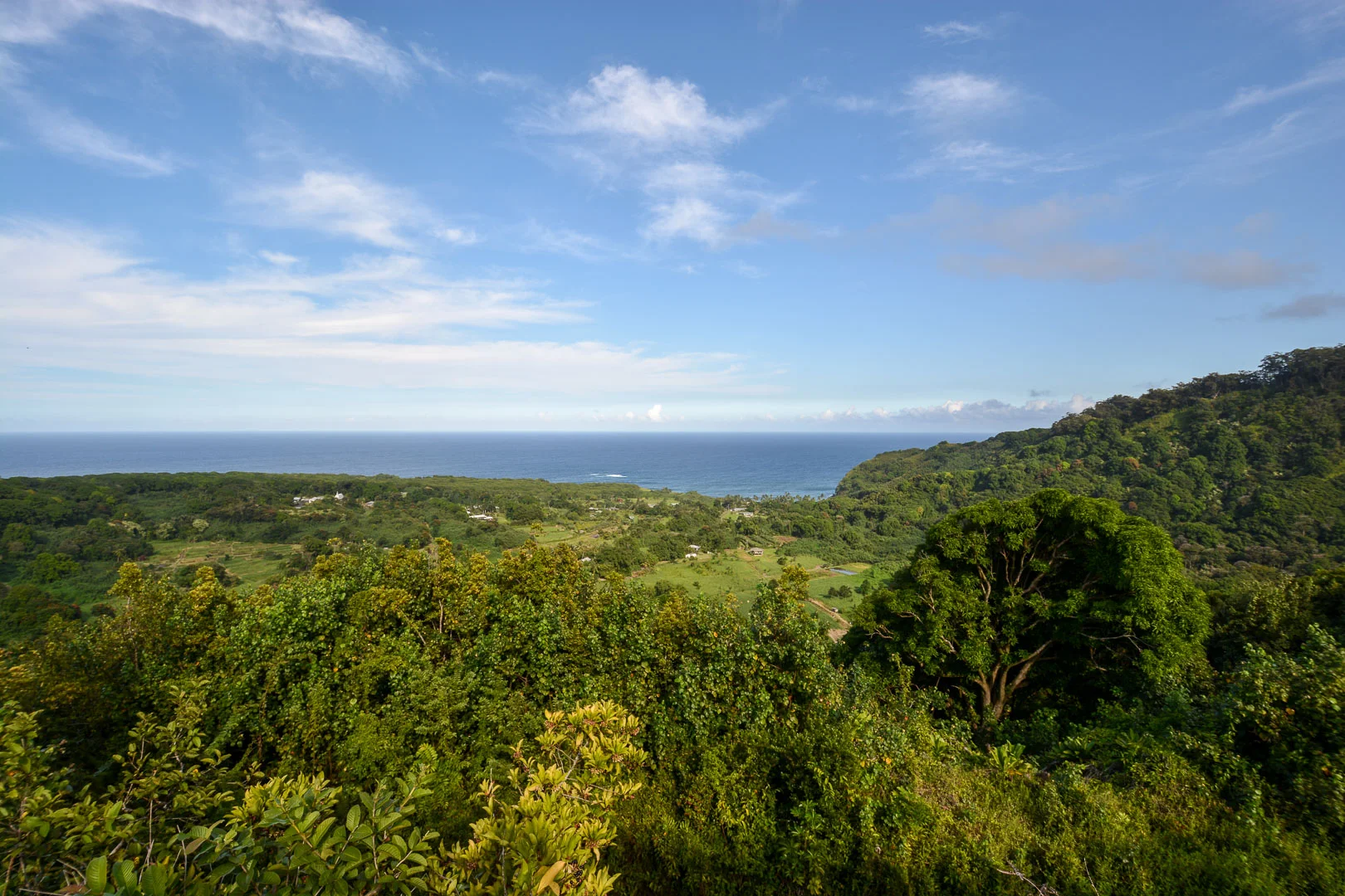 A lookout point along the road to Hana