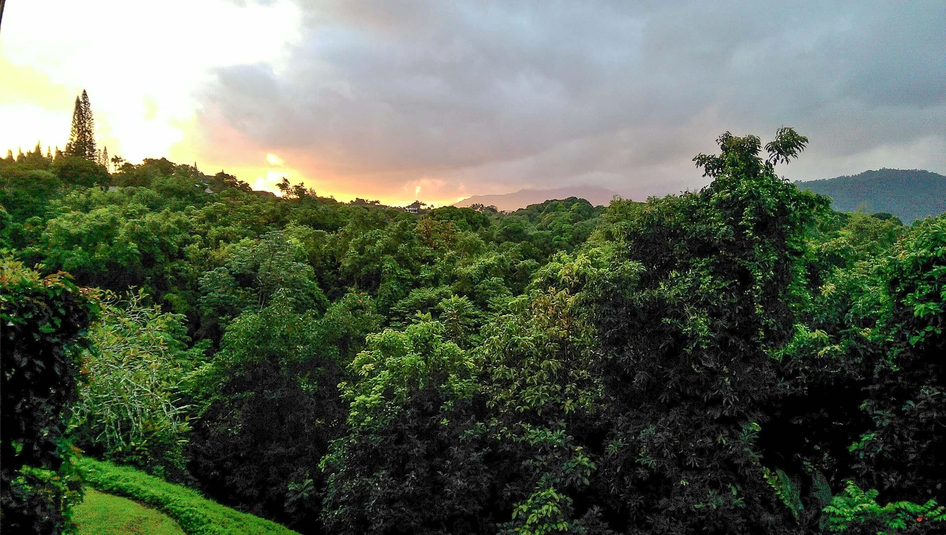 IMAG00884.jpg