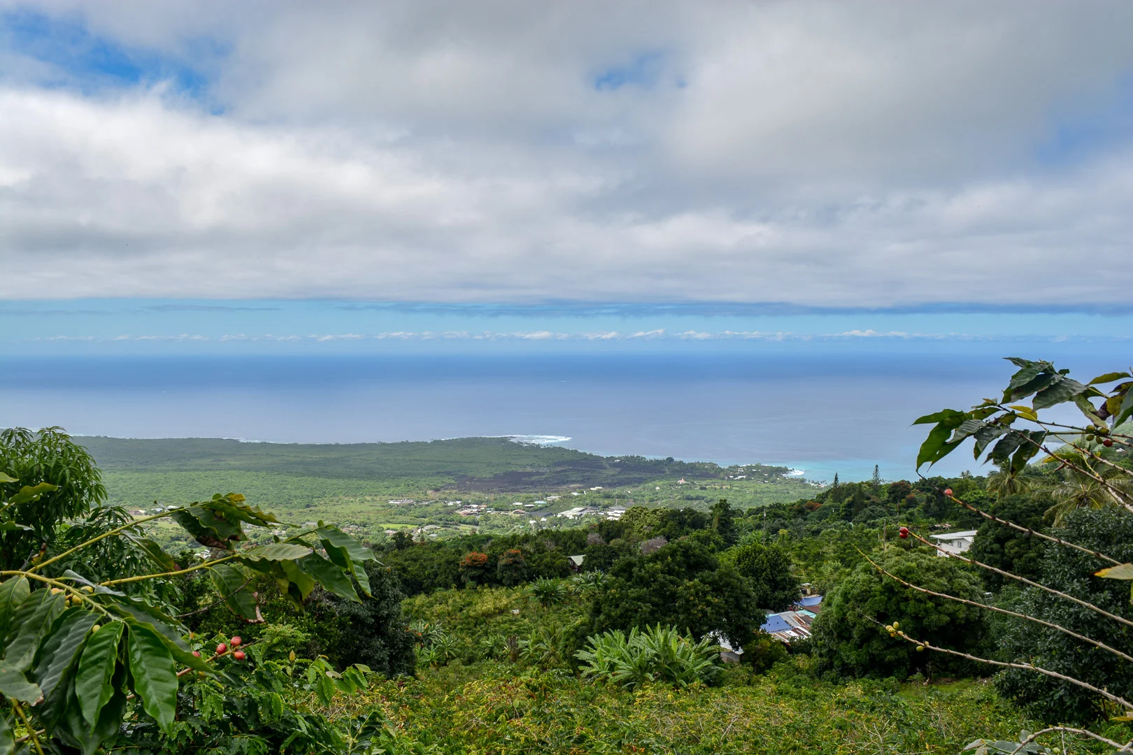 DSC_0865.jpg