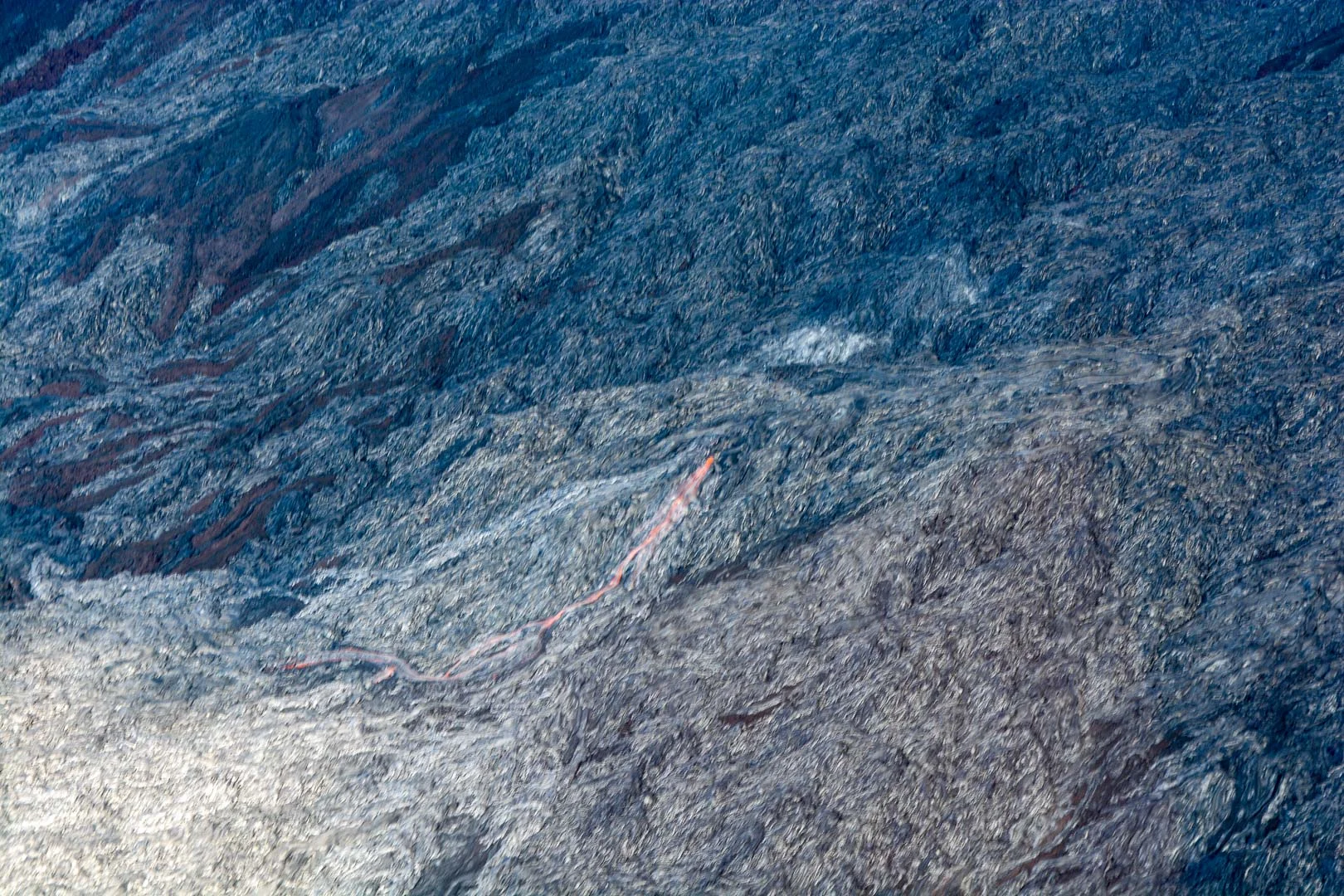 DSC_0914.jpg