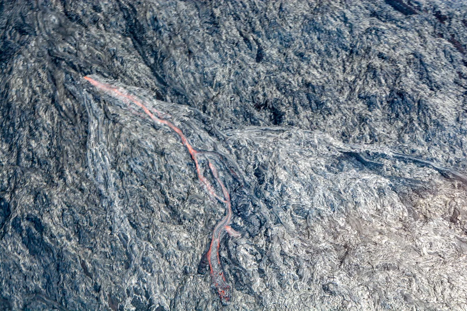 DSC_0917.jpg