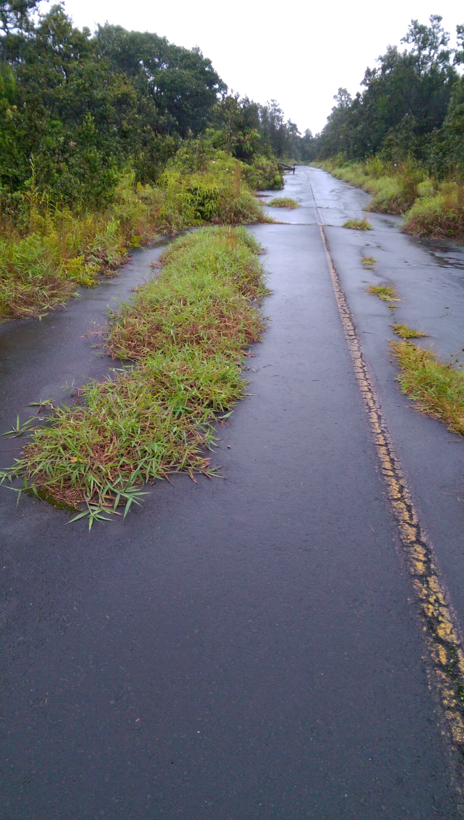 IMAG01019.jpg